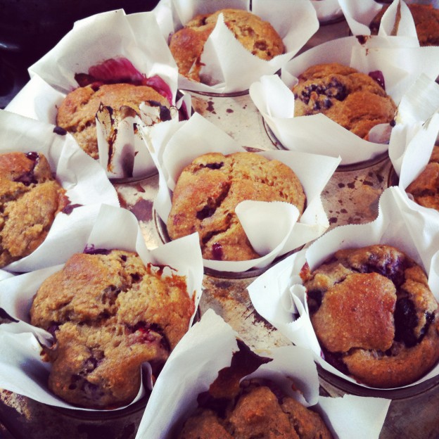 Healthy berry muffins